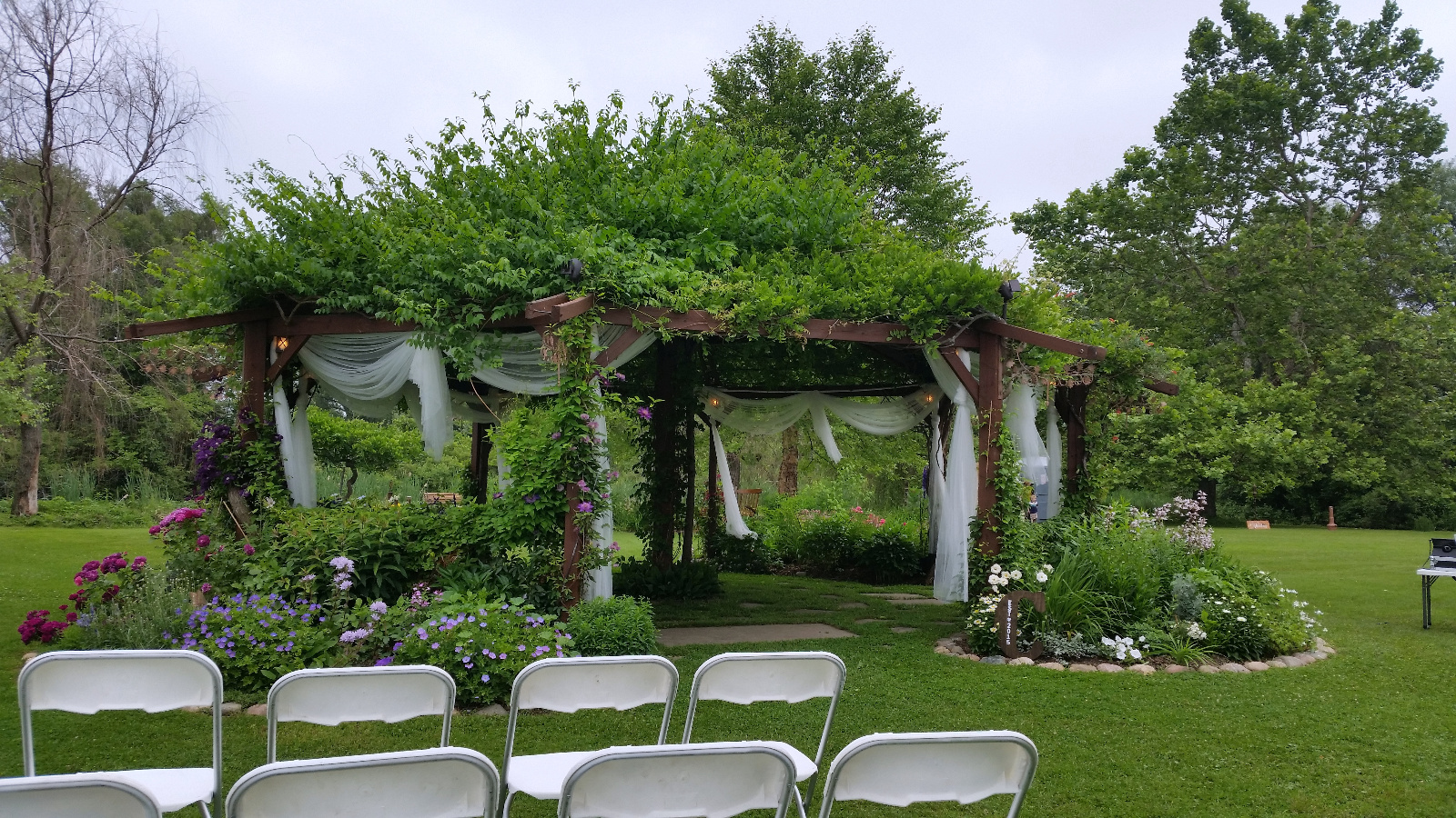 Clematis, Roses, Geranium, Prunella, Dasies and Penstemon